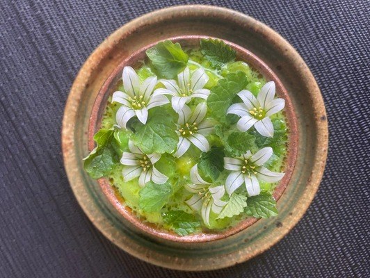 A green savoury course topped with white flowers, in a ceramic bowl